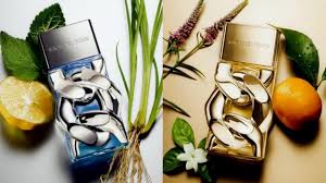 הבושם Michael Kors Pour Homme דוגמת ניחוח 2024 הבושם Michael Kors Pour Homme דוגמת ניחוח 2024