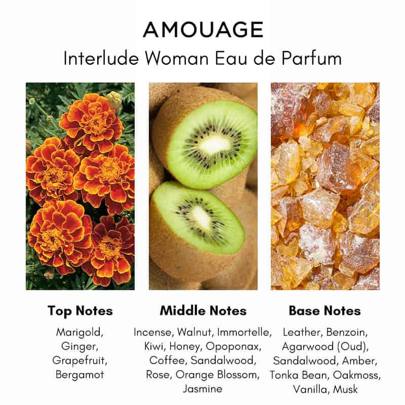 Amouage Interlude Woman 2 מ